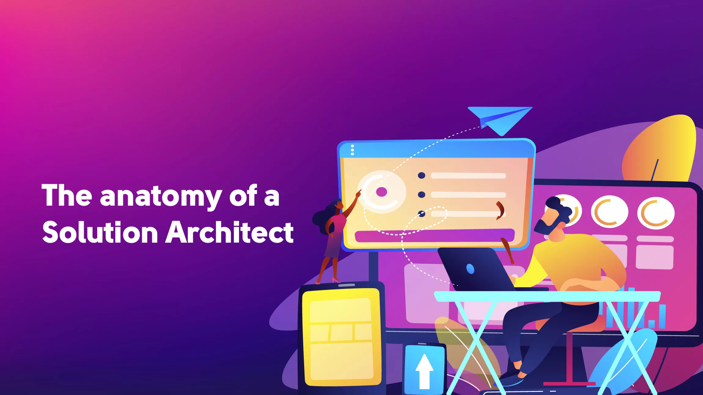 The anatomy of a Solution Architect