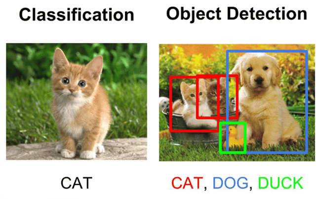 object detection example