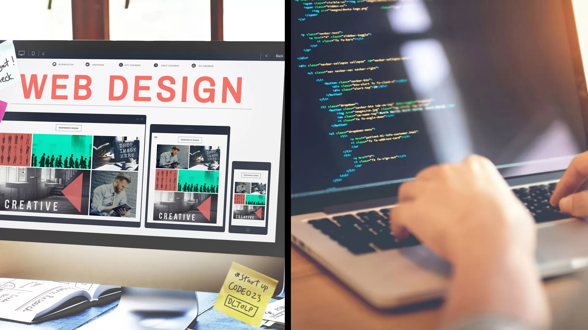 web design vs web development