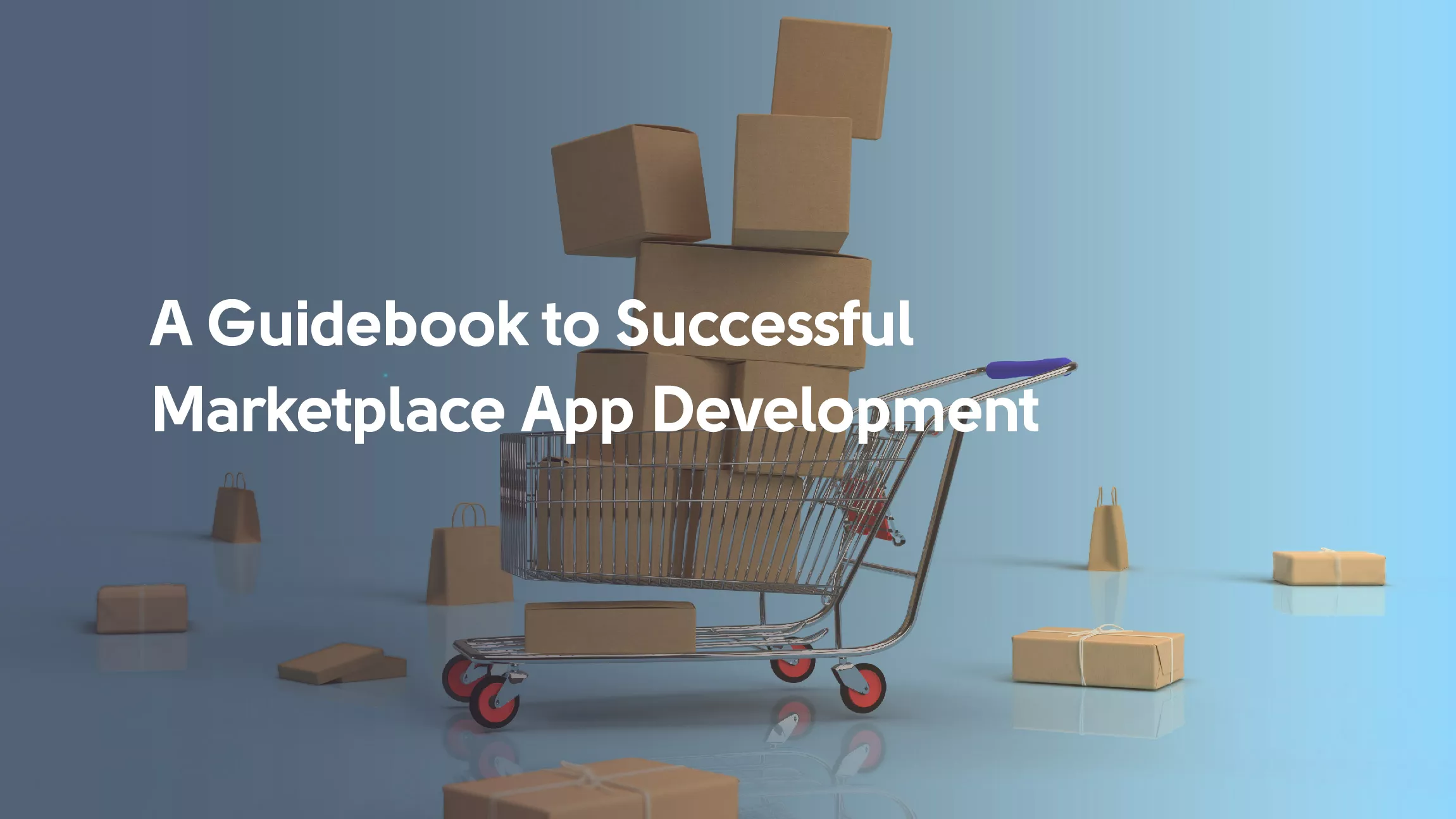guidebook-to-marketplace-development