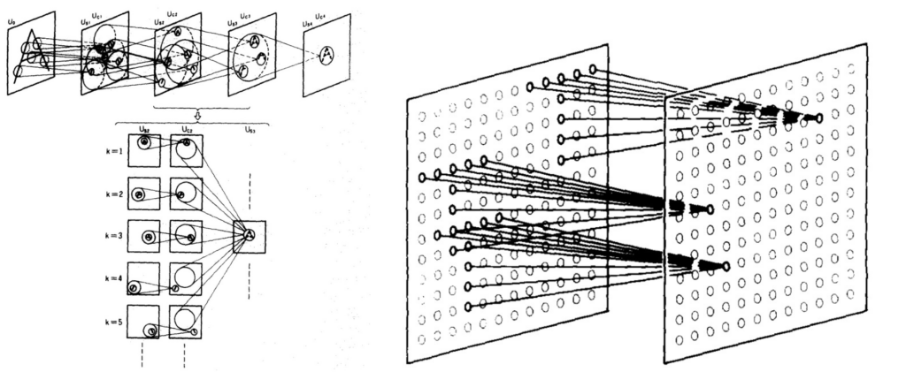  two basic types of layers in convolutional neural networks