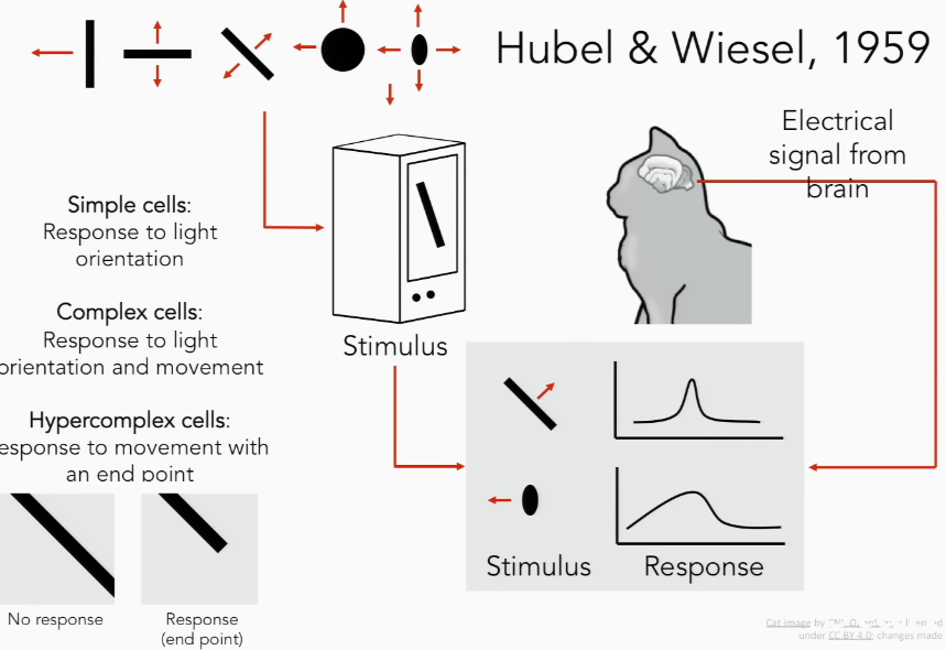 networks was the work of Gubel and Wiesel in the 1950s