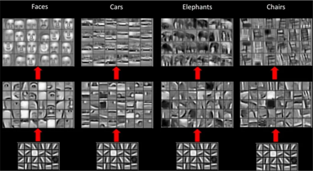 Examples of CNN’s trained to recognize specific objects