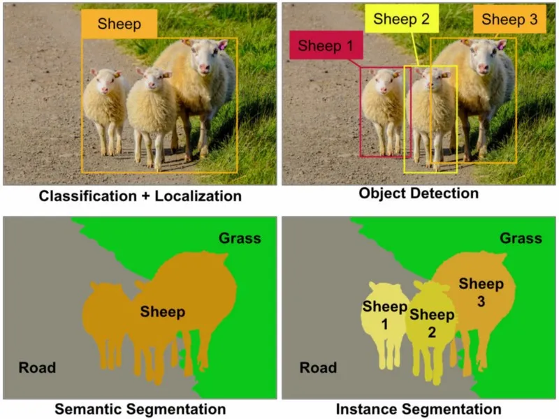 An example of how segmentation image tasks differ from classification and detection tasks