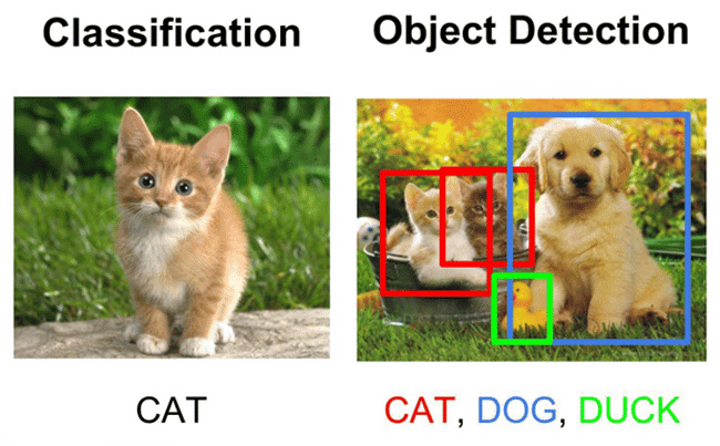 An example of how the classification task differs from the object detection task