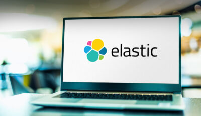 Elasticsearch system DSL for searching and ranking information