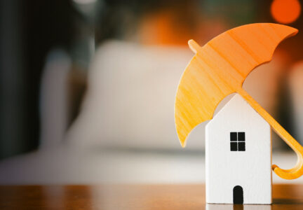 Insurance Software Delivery at Speed and Scale